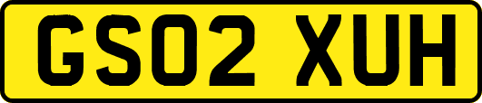 GS02XUH