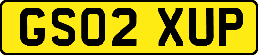 GS02XUP