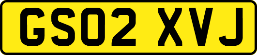 GS02XVJ