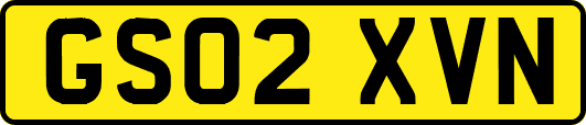 GS02XVN