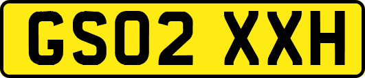 GS02XXH