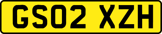 GS02XZH
