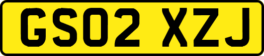 GS02XZJ