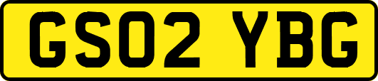 GS02YBG