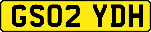 GS02YDH