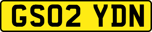 GS02YDN