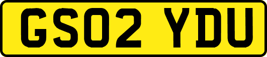 GS02YDU