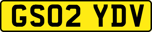GS02YDV