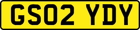 GS02YDY