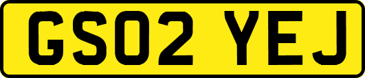 GS02YEJ