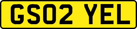 GS02YEL