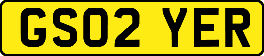 GS02YER