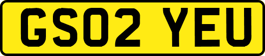 GS02YEU