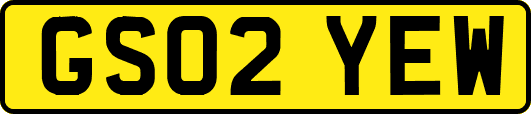 GS02YEW