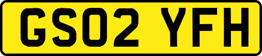 GS02YFH