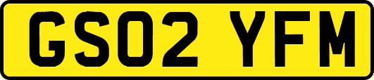 GS02YFM