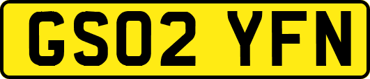 GS02YFN