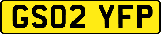 GS02YFP
