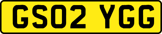 GS02YGG