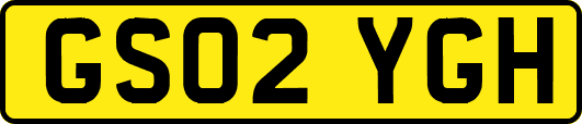 GS02YGH