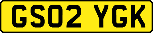 GS02YGK