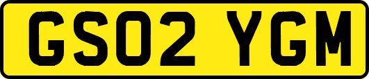 GS02YGM