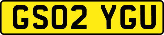 GS02YGU