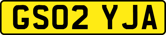 GS02YJA