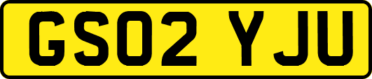 GS02YJU