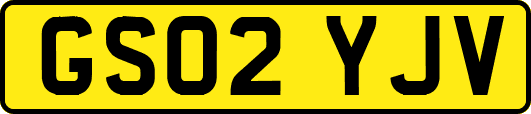 GS02YJV