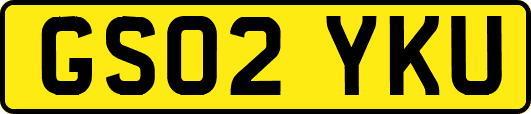 GS02YKU