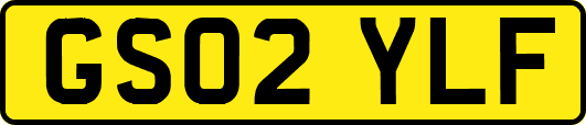 GS02YLF