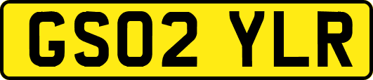 GS02YLR