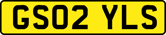 GS02YLS
