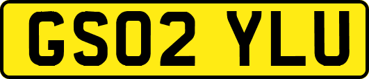 GS02YLU
