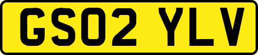 GS02YLV