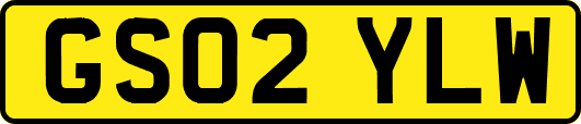 GS02YLW