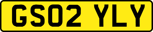GS02YLY