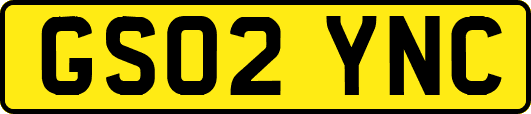 GS02YNC