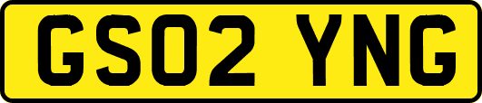 GS02YNG