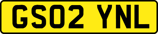 GS02YNL