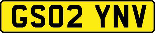 GS02YNV