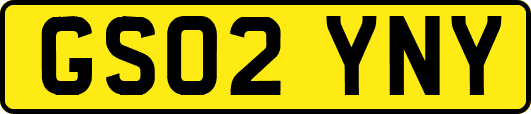 GS02YNY