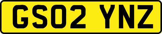 GS02YNZ