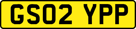 GS02YPP