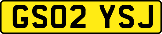 GS02YSJ