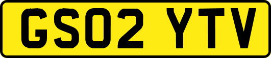 GS02YTV