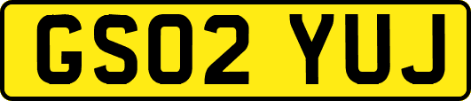 GS02YUJ