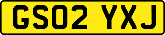 GS02YXJ