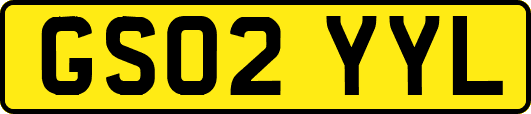 GS02YYL